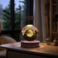 3d Crystal Ball Dinosaur Night Light Usb Bedside Lamp