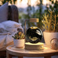 3d Crystal Ball Dinosaur Night Light Usb Bedside Lamp