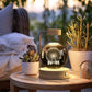 3d Crystal Ball Dinosaur Night Light Usb Bedside Lamp