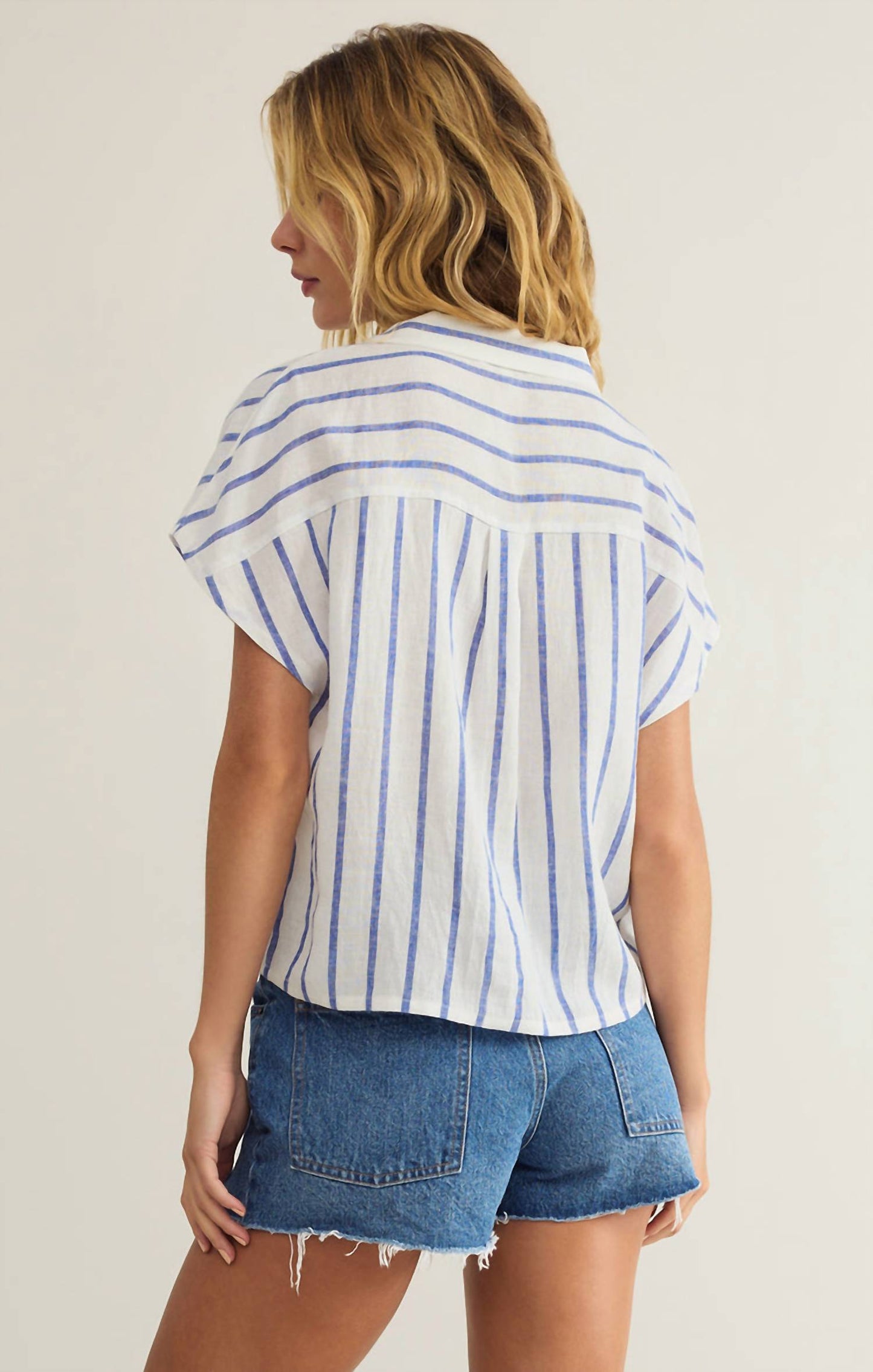 Z Supply - Parallel Button Down Top