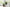 11" Tall, Artificial Plant, Eucalyptus Grass, Indoor, Faux, Fake, Table, Greenery, Potted, Decorative (Set of 2) - Green / Black