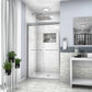 Modern Double Sliding Shower Enclosure, Tempered Glass