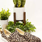 Not Rated - Women's Maya Sneakers