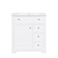 Bathroom Vanity With Sink Top, Cabinet With Door And 2 Drawers - White