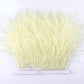 Premium Feather Fringe and Ostrich Trim for Diy Fashion