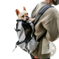 Dog Carrier Backpack Portable Mesh Travel Bag