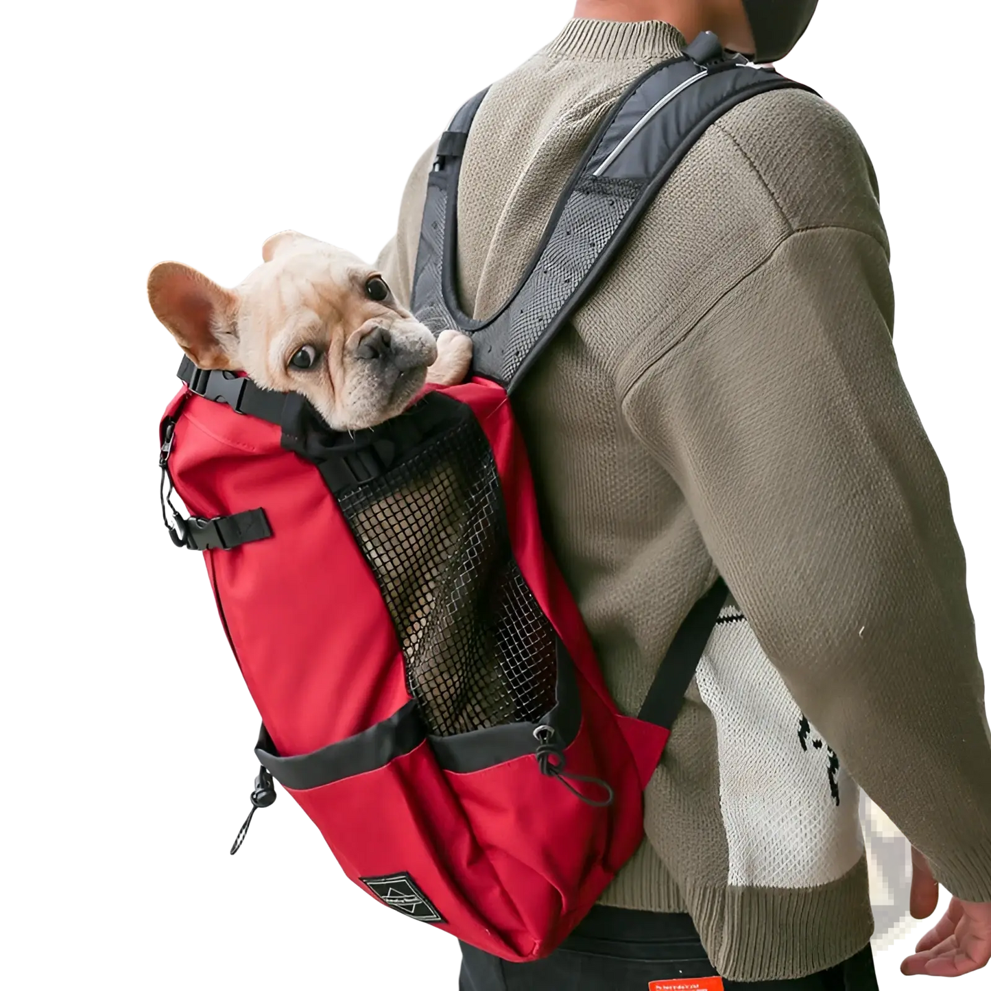 Dog Carrier Backpack Portable Mesh Travel Bag