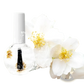 Dried Flower Revitalizing Nail and Cuticle Treatment Oil
