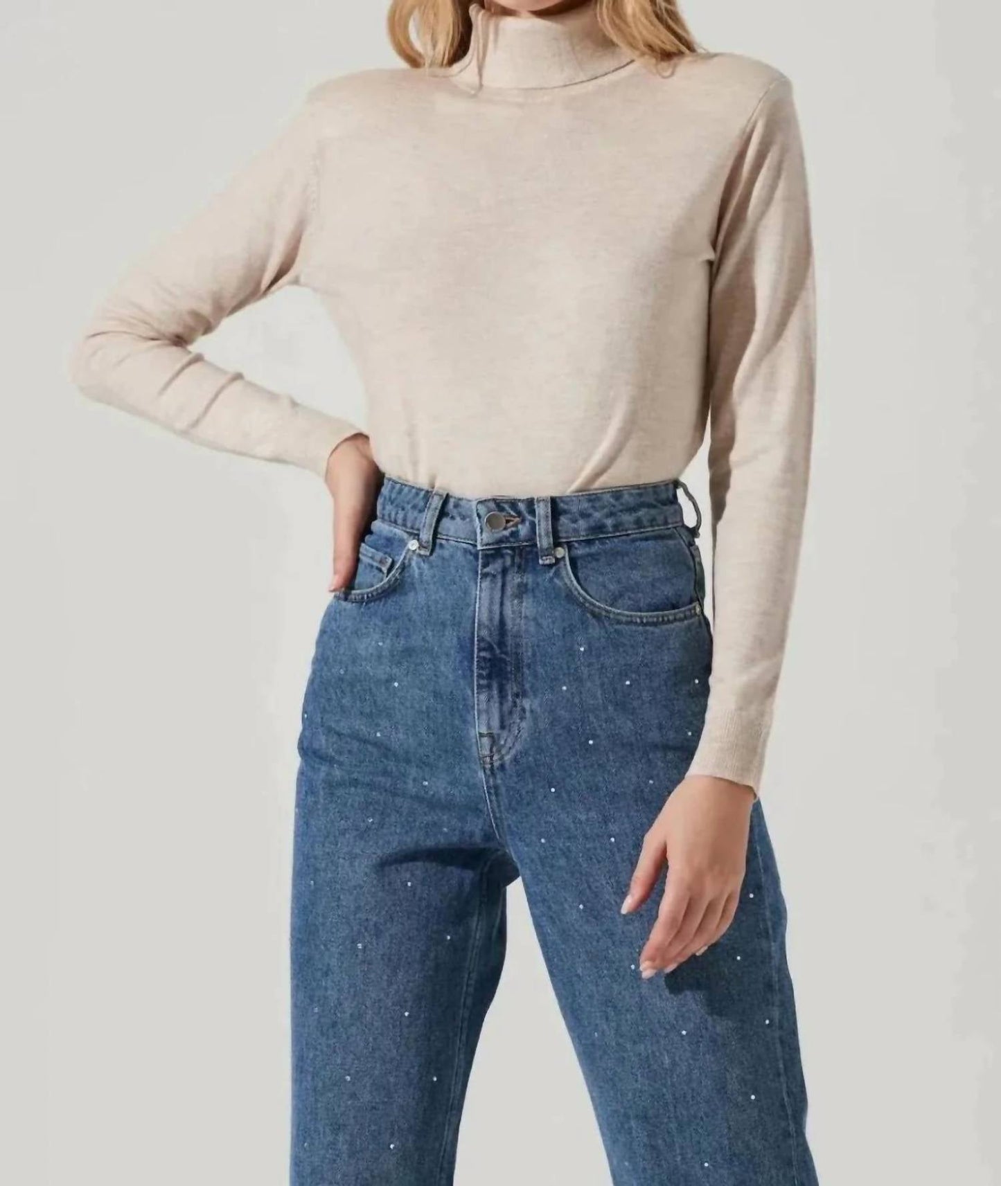 Astr - ALDEN TURTLENECK SWEATER