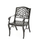 Luminea Outdoor Aluminum Dining Chair with Scroll Design