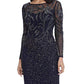 Adrianna Papell - Boat Neck Long Sleeve Mesh Dress
