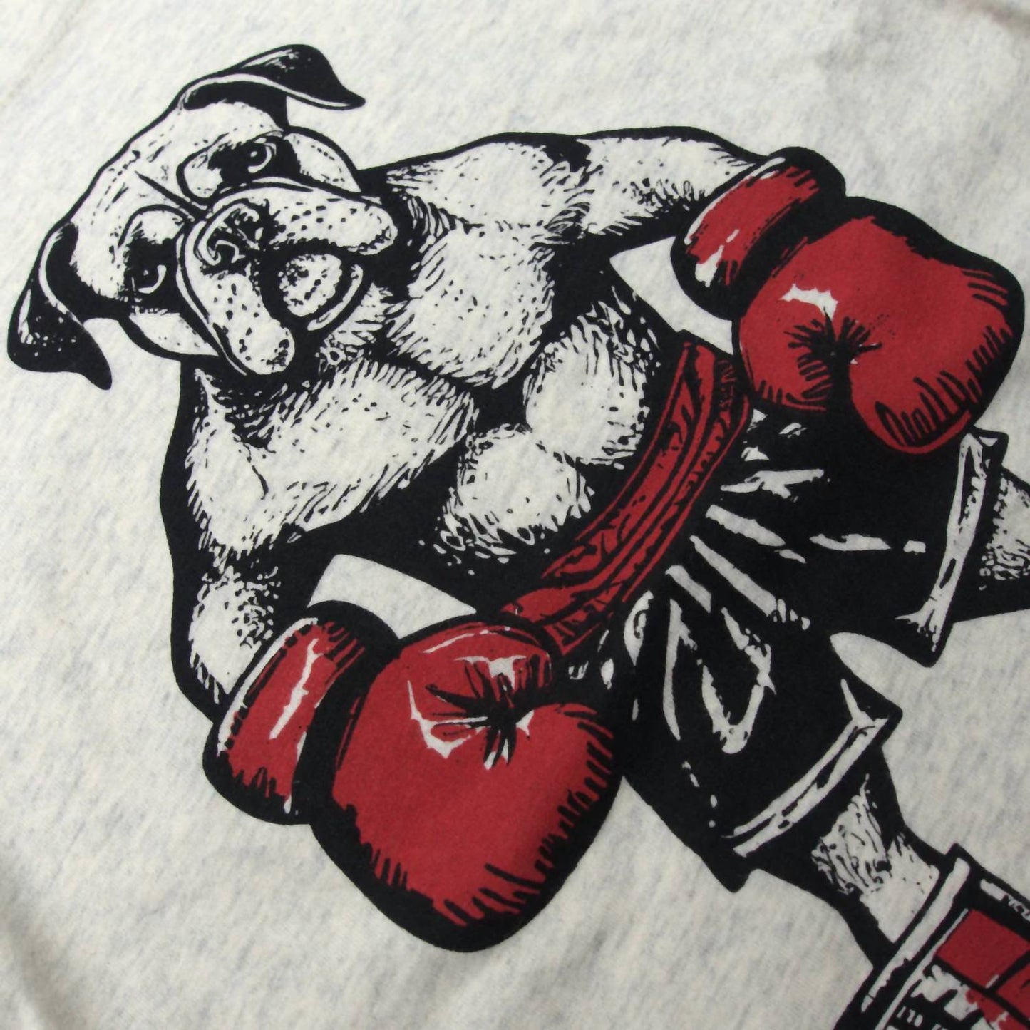 Appaman - Boys' Boxer Graphic Long Sleeve Tee