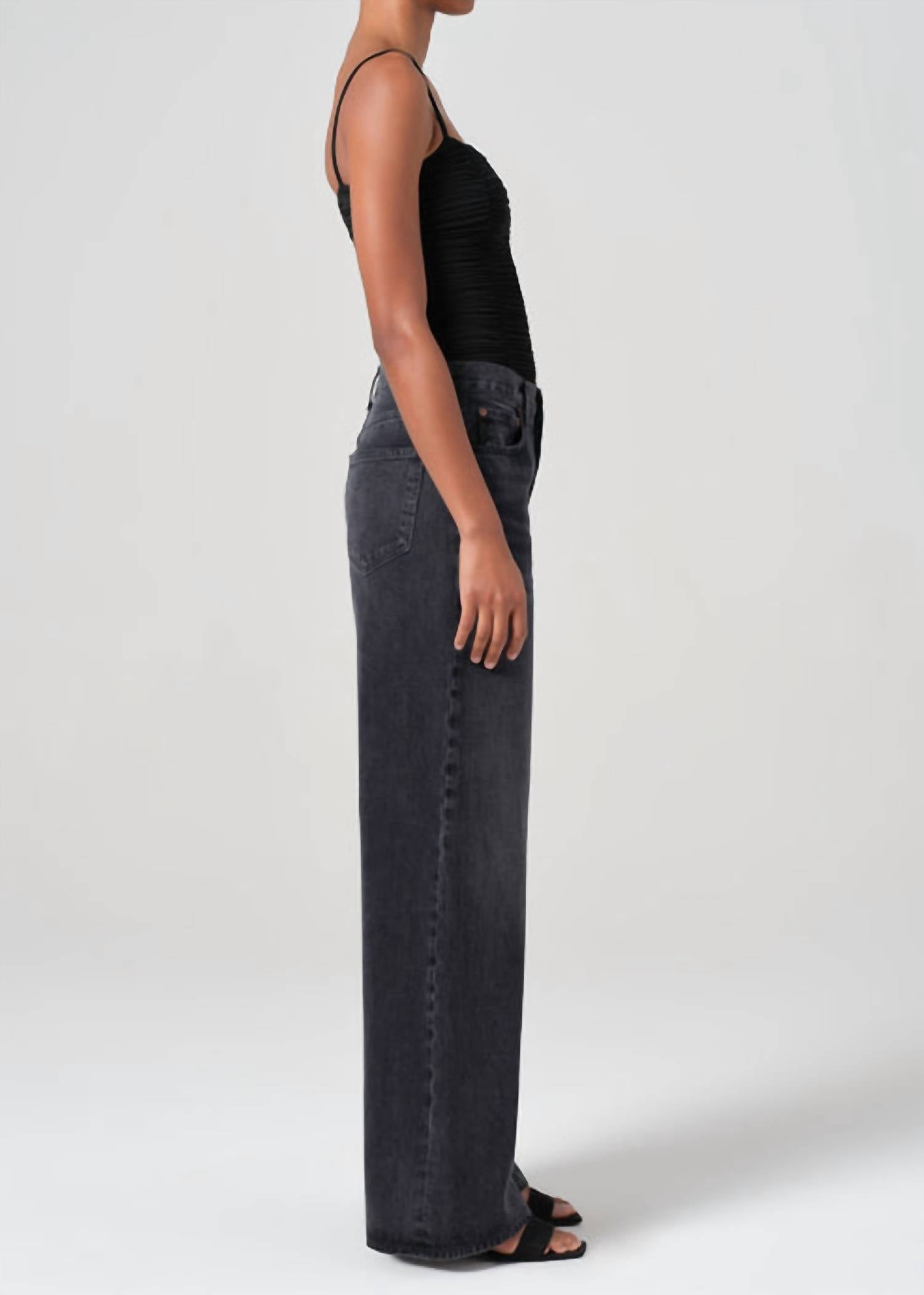 agolde-dame-high-rise-wide-leg-jean-1