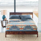 Pendleton - Chief Joseph Blanket: Queen