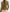 free-people-lets-party-cardigan-1