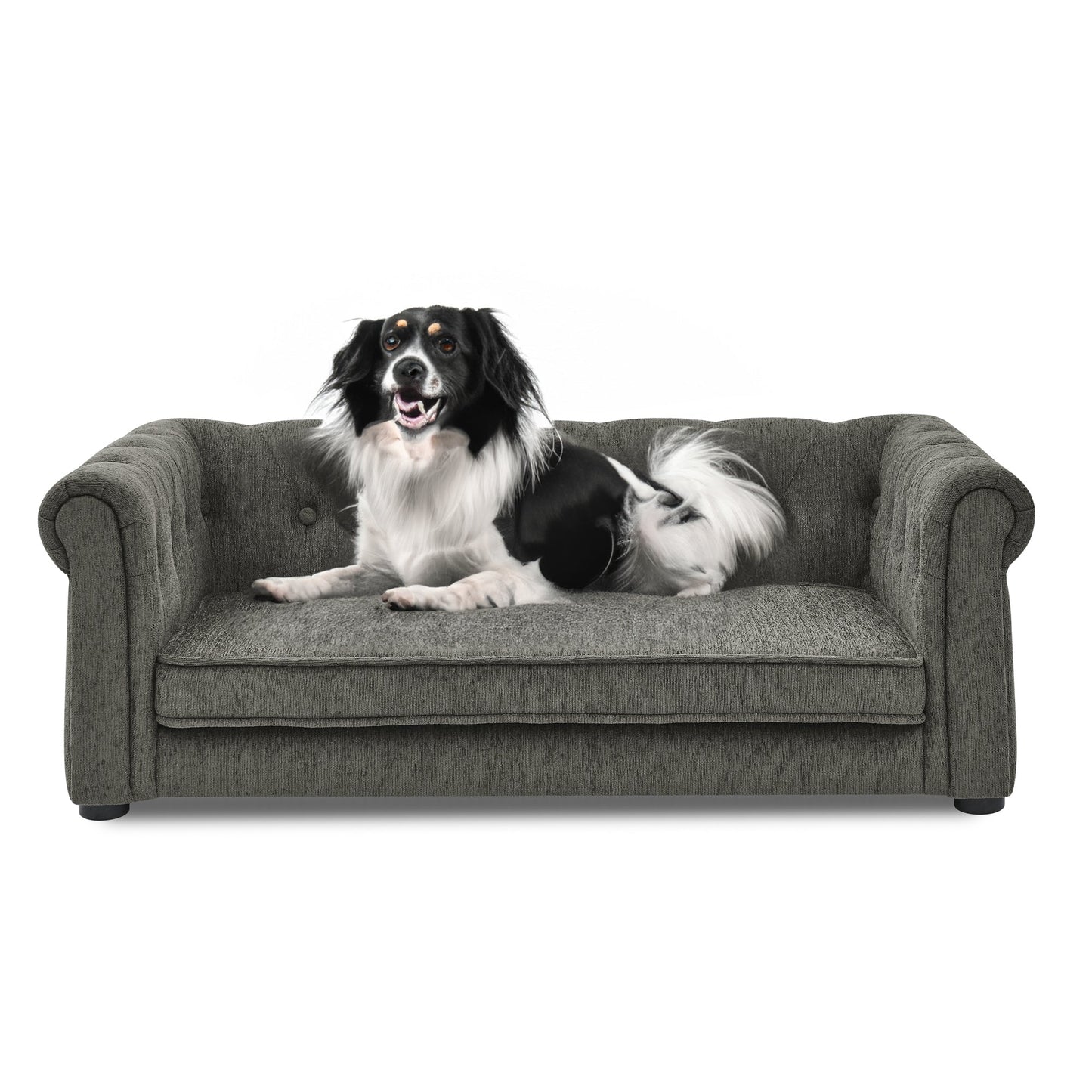 Modern Style Elegant Rectangle Pet Bed for Small and Medium Dogs