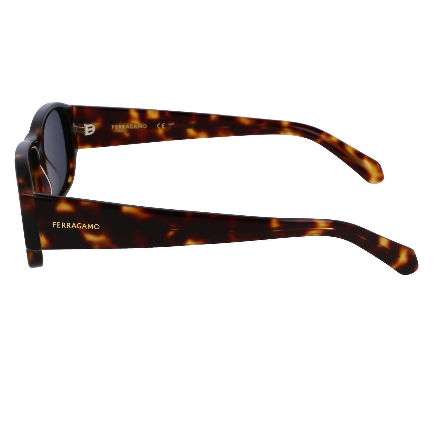 Salvatore Ferragamo - पुरुषों का SF1109S धूप का चश्मा
