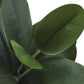 31" Tall Artificial Garcinia Tree Indoor Faux Plant