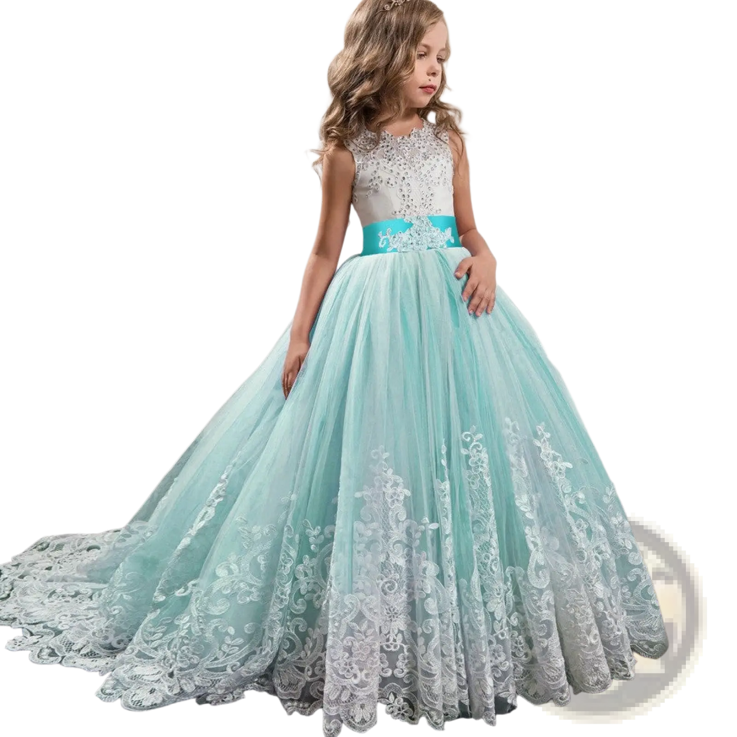Embellished Lace Tulle Flower Girl Princess Gown