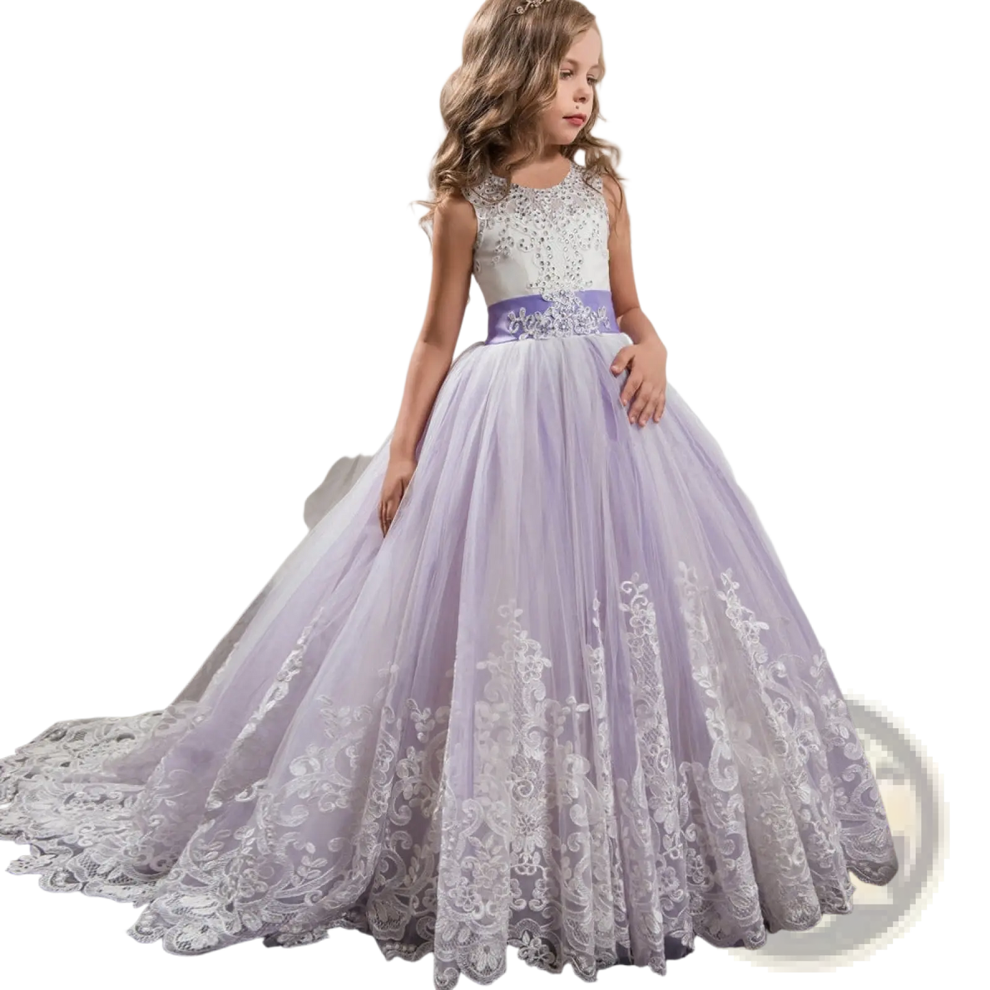 Embellished Lace Tulle Flower Girl Princess Gown