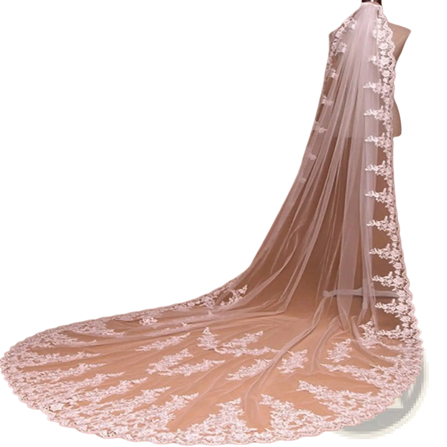 Embroidered Floral Lace Cathedral Wedding Veil with Comb