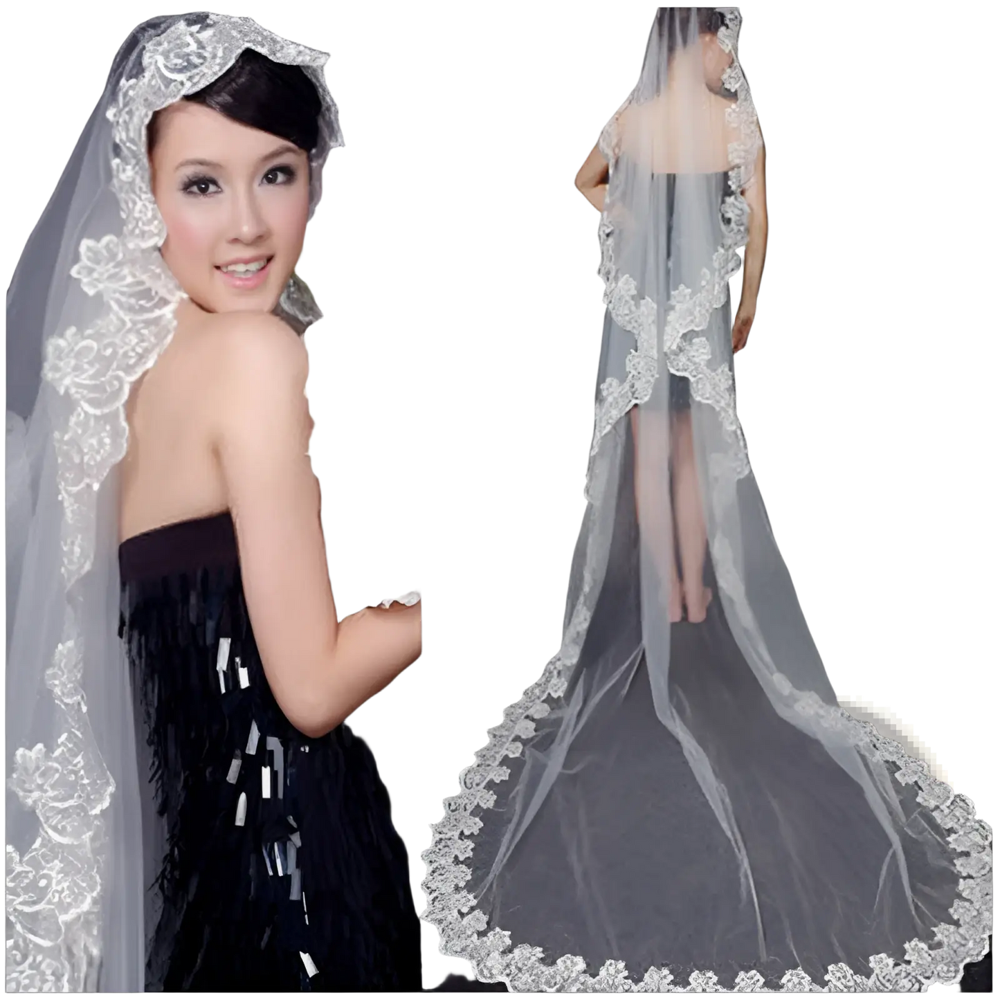 Embroidered Floral Lace Cathedral Wedding Veil