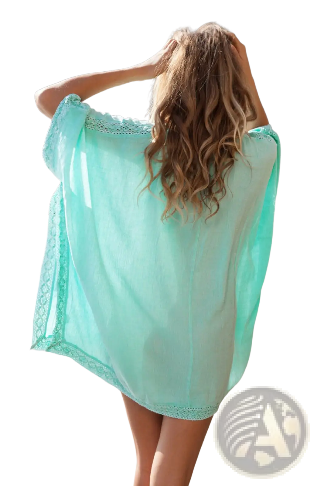 Embroidered Lace v Neck Beach Cover Up Dress