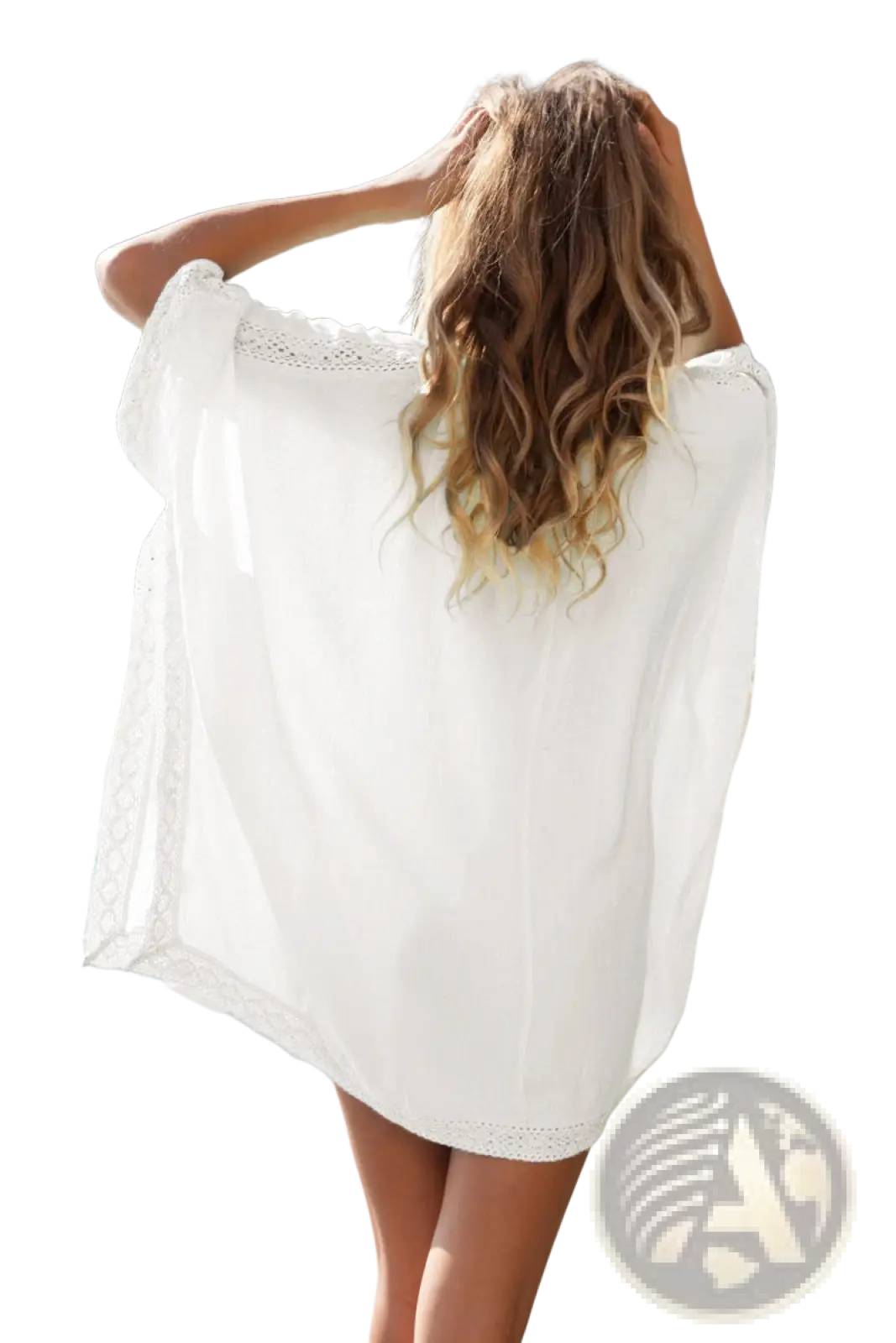 Embroidered Lace v Neck Beach Cover Up Dress