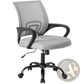 Ergonomic Mesh Office Chair with Lumbar Support