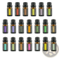 Essential Oil Aromatherapy Set 10ml Fragrance Box