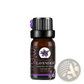 Essential Oil Set 10ml Pure Aromatherapy Bottles
