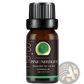 Essential Oil Set 10ml Pure Aromatherapy Bottles