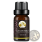 Essential Oil Set 10ml Pure Aromatherapy Bottles