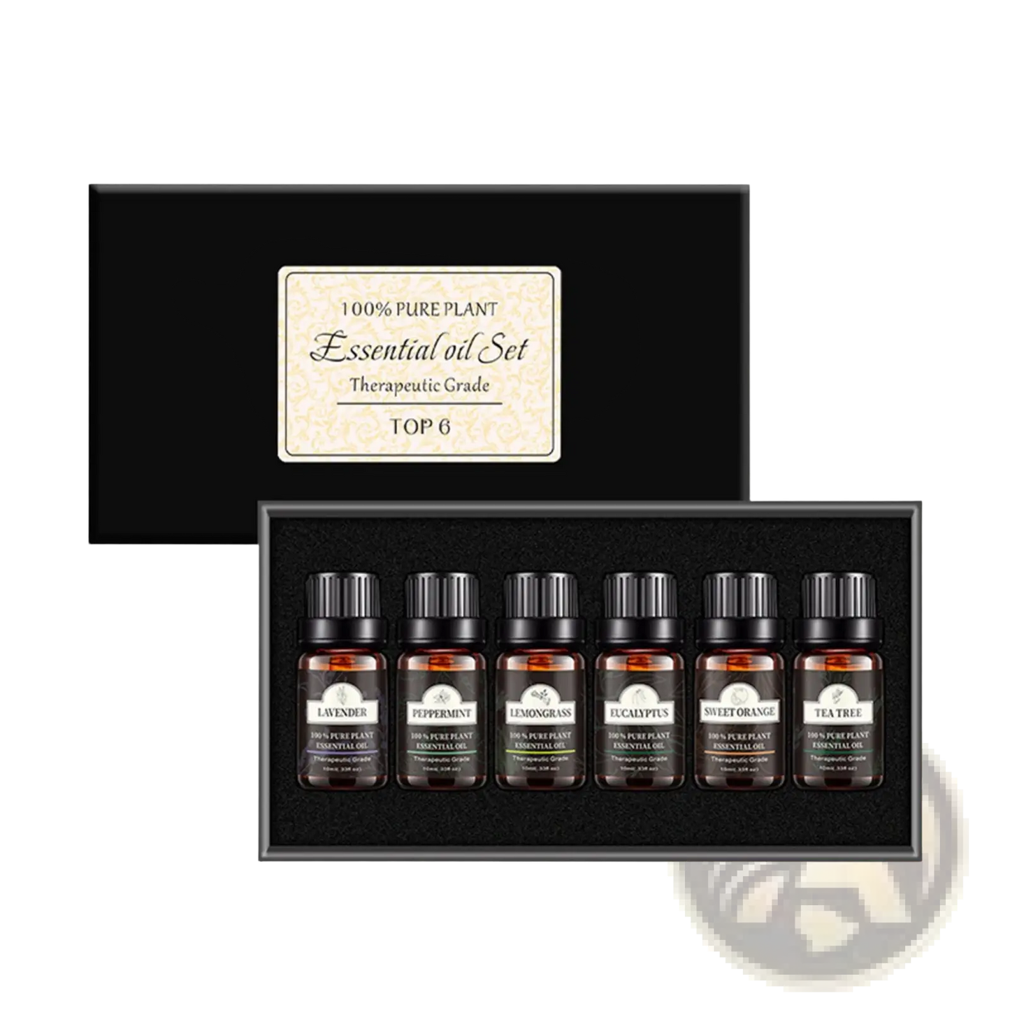 Essential Oil Set 10ml Pure Plant Aromatherapy 6 Pack