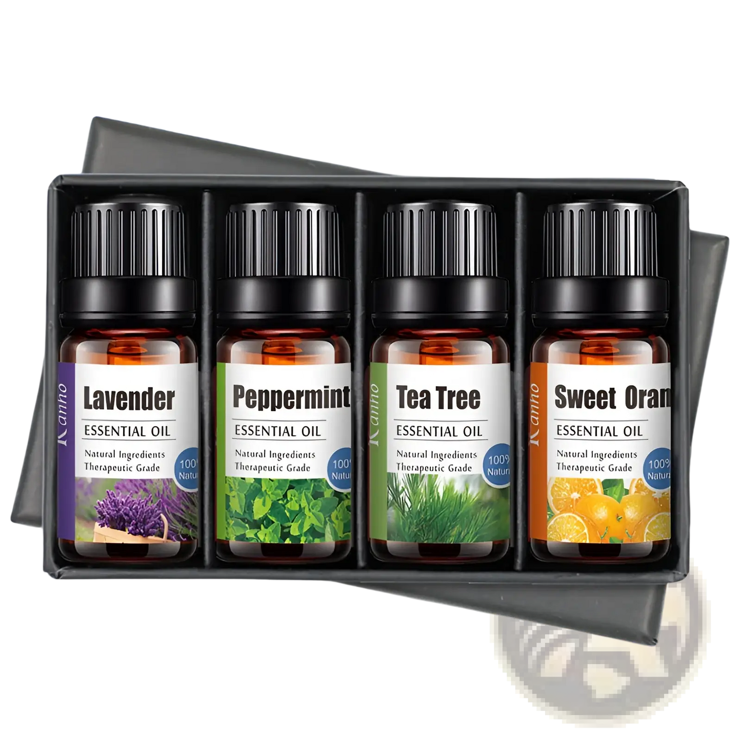 Essential Oil Set with Wooden Diffuser 4 Pack