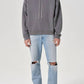 Agolde - 90's Mid Rise Straight Jean