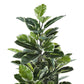 52" Tall Artificial Rubber Tree Indoor Plant