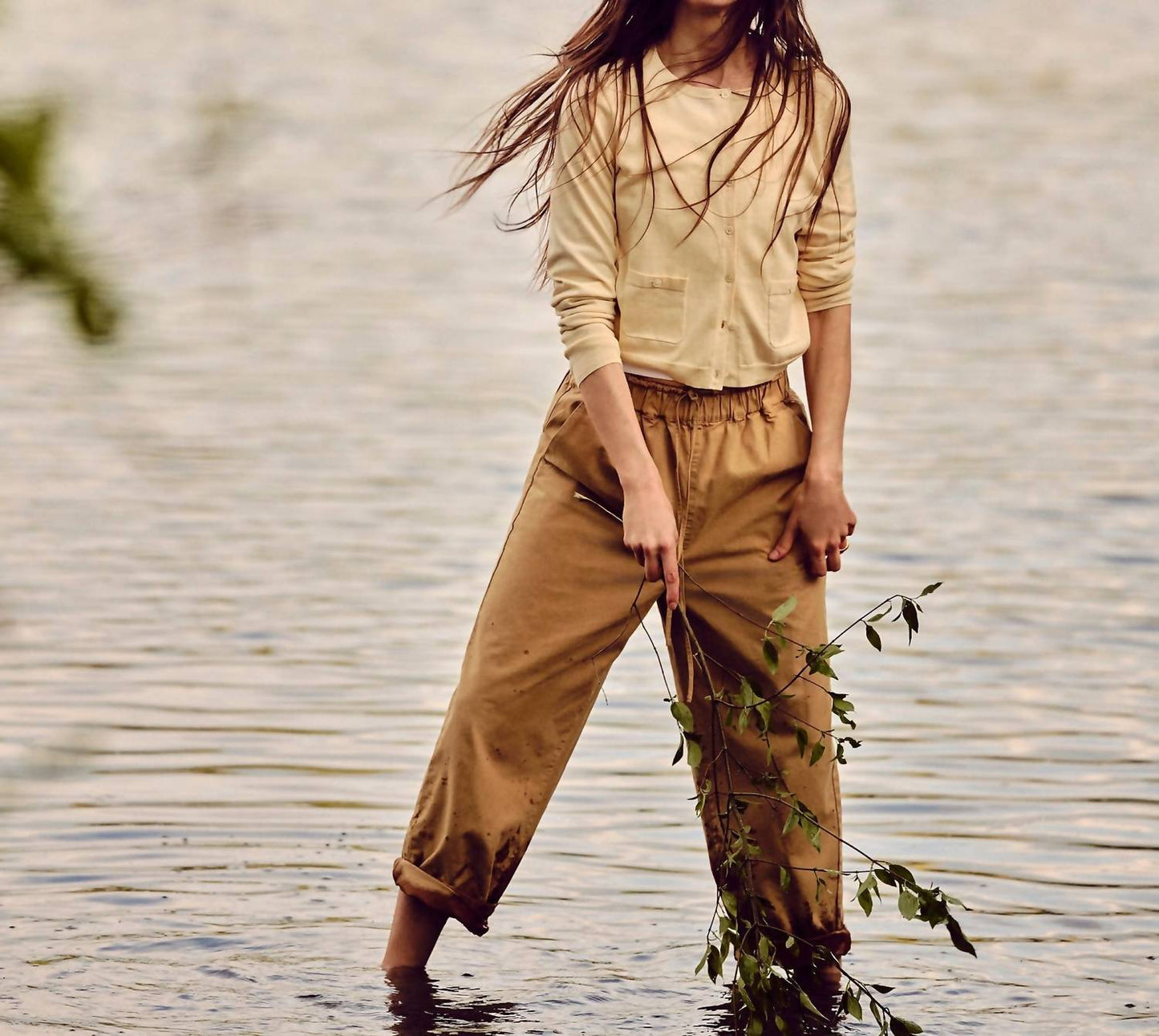 J.Crew - प्रीमियम अल्ट्राफाइन कॉटन में क्रूनेक कार्डिगन