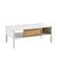 Modern Rattan Coffee Table with Sliding Door