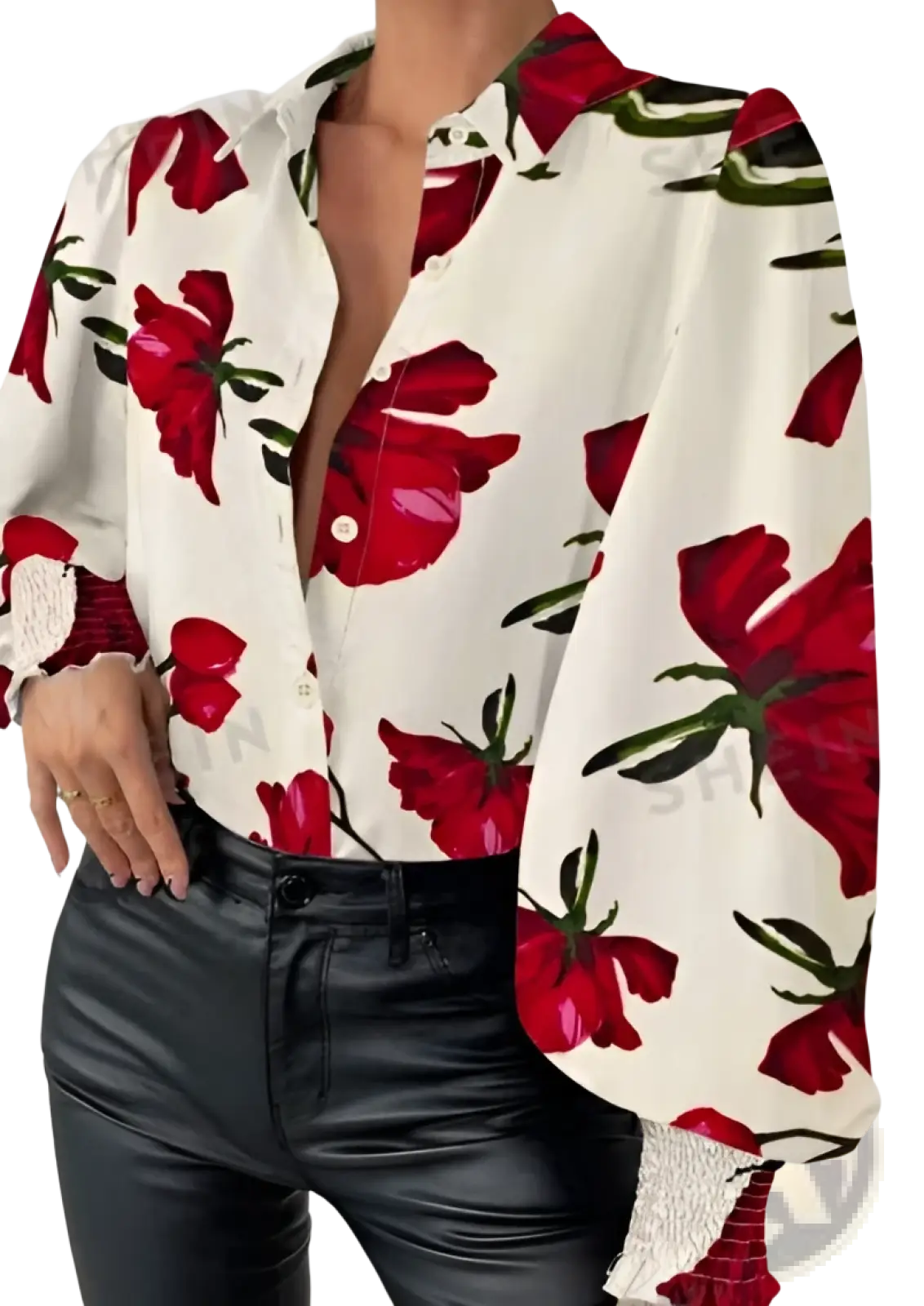 Floral Print Lantern Sleeve Ruffled Blouse