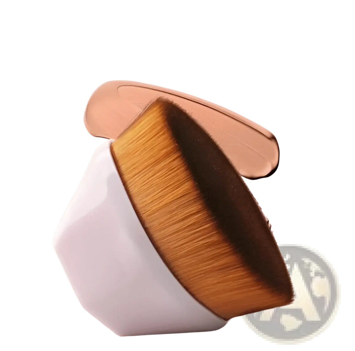 Foundation Brush and Powder Makeup Set with Case