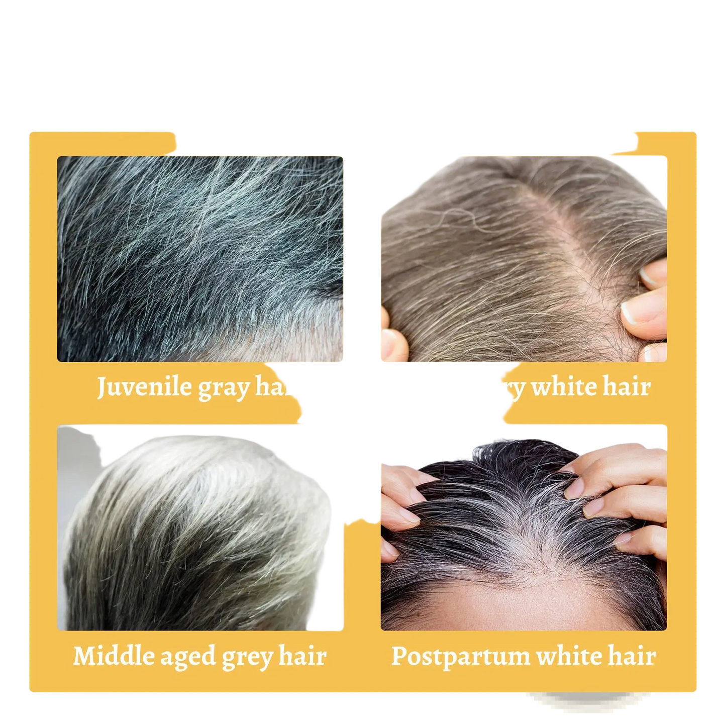 Ganoderma Hair Darkening Lotion Nutrient Treatment 30ml
