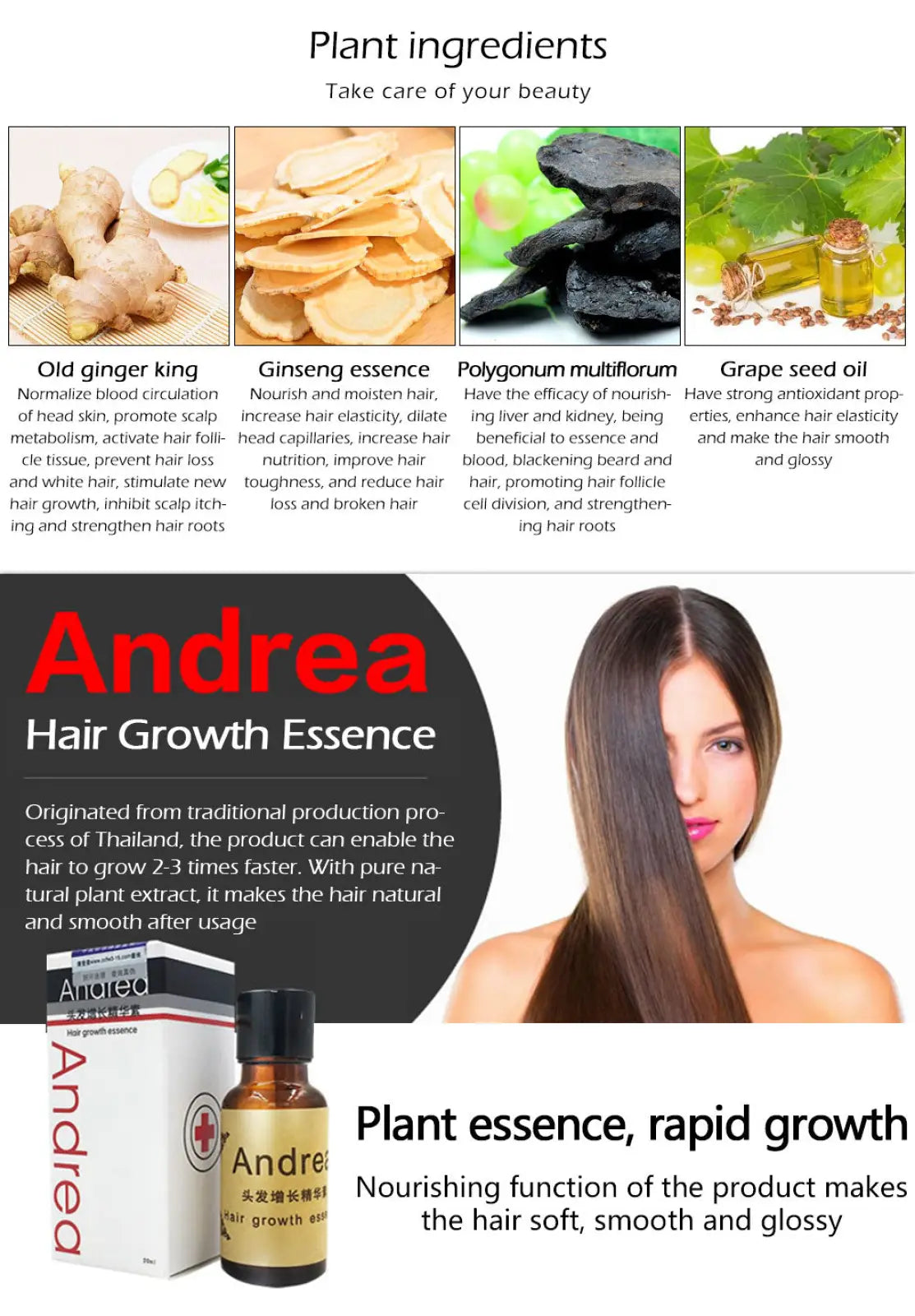 Hair Growth Essence Ginger Anti Hair Loss Liquid 20ml
