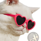 Heart Shaped Fashion Sunglasses for Pets and Dolls