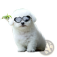 Heart Shaped Fashion Sunglasses for Pets and Dolls