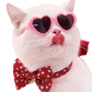 Heart Shaped Fashion Sunglasses for Pets and Dolls
