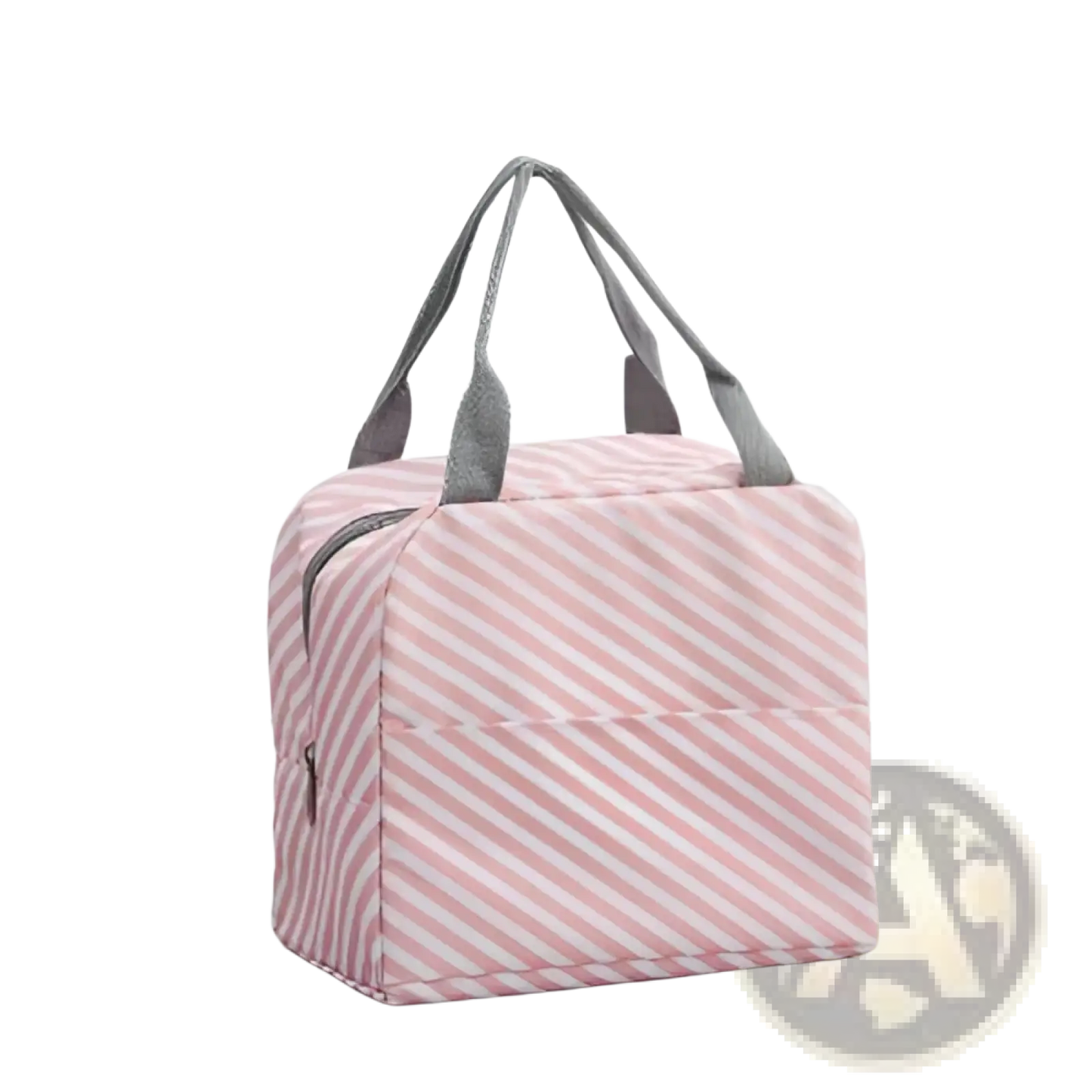 Insulated Waterproof Lunch Bag Striped Cactus Pattern