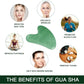 Jade Gua Sha Facial Set with Pure Rosehip Oil and Travel Pouch