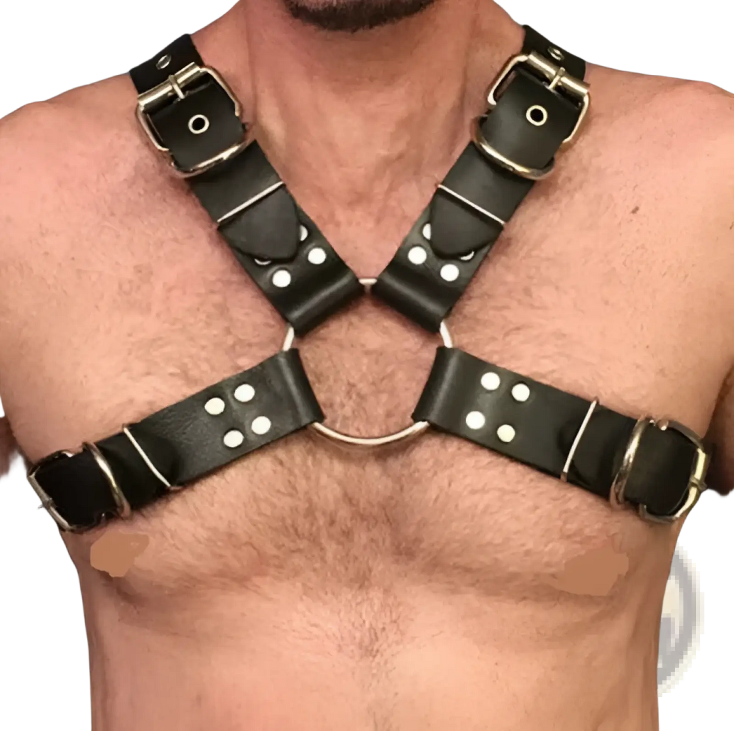 Leather Harness with Silver Buckles for Adults