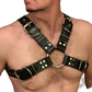 Leather Harness with Silver Buckles for Adults